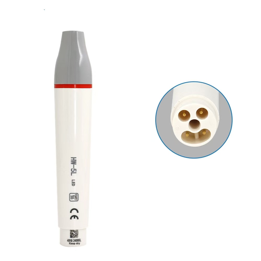 Dental Ultrasonic Scaler Handp - Teeth Whitening Options 评论和价格