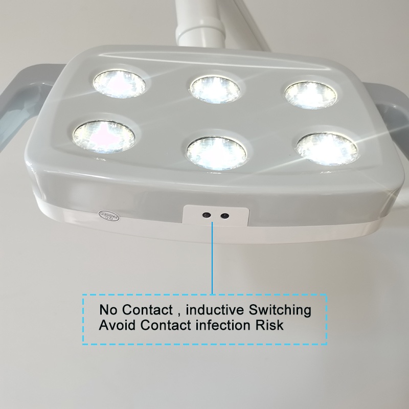 6LED Dental LED Lamp Oral Ligh - Teeth Whitening Light 评论和价格