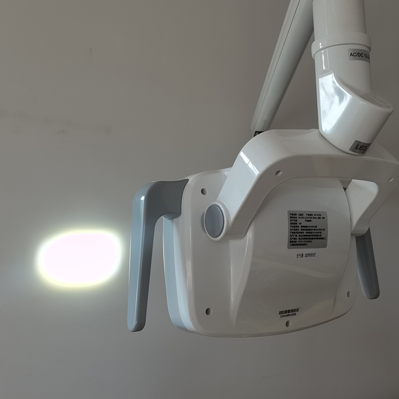 6LED Dental LED Lamp Oral Ligh - Teeth Whitening Light 评论和价格