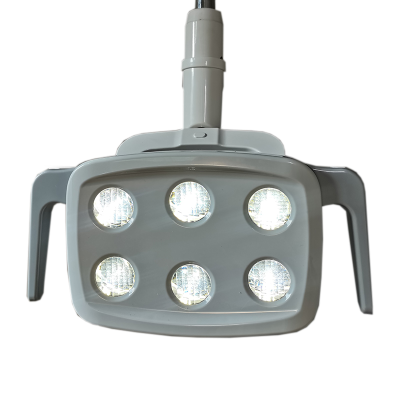 6LED Dental LED Lamp Oral Ligh - Teeth Whitening Light 评论和价格